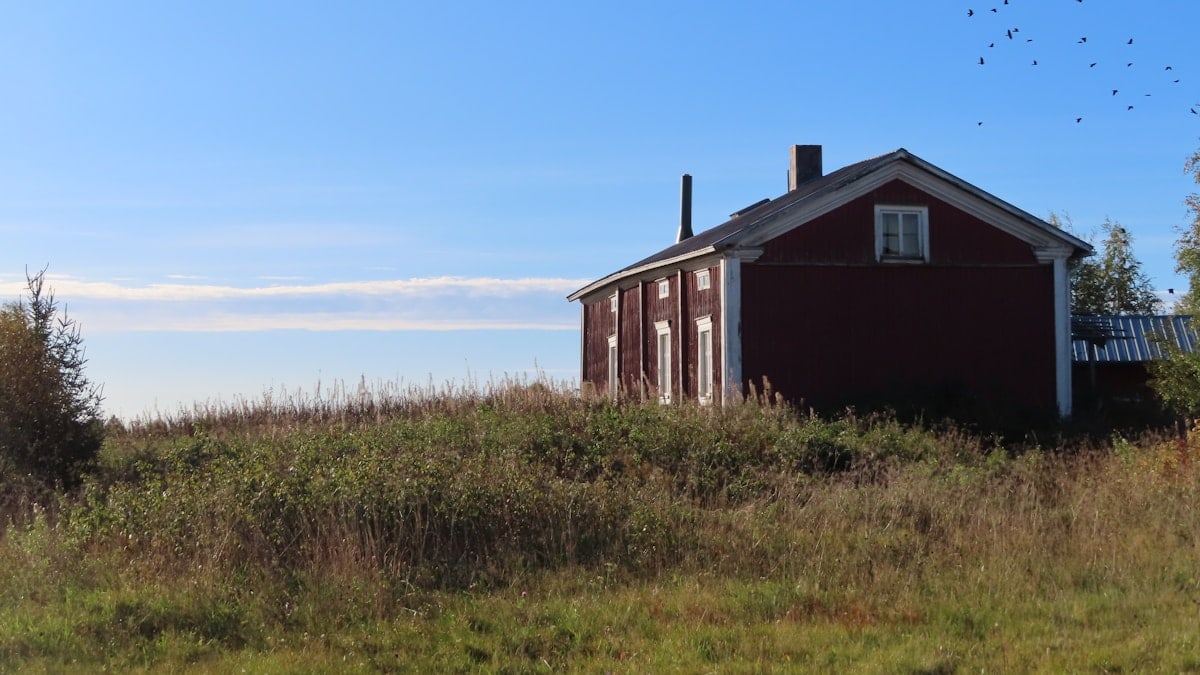 A small red building sitting on top of a lush green field